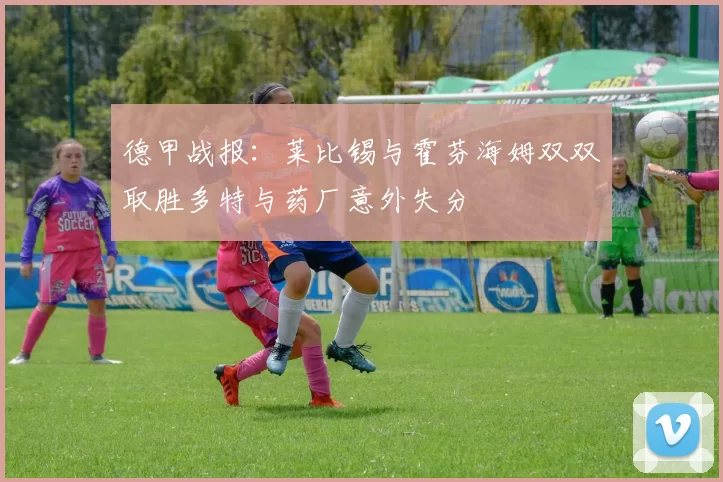 德甲战报：莱比锡与霍芬海姆双双取胜多特与药厂意外失分